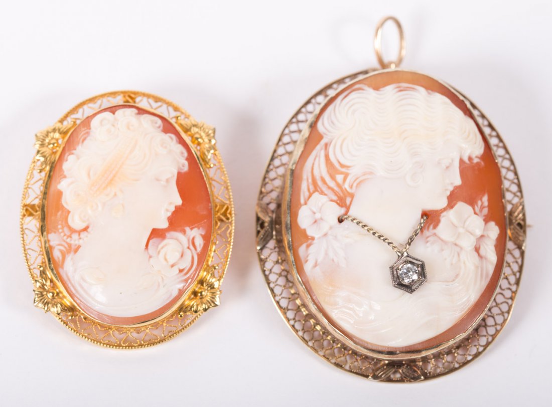 Two Cameo Pins (1 of 3)