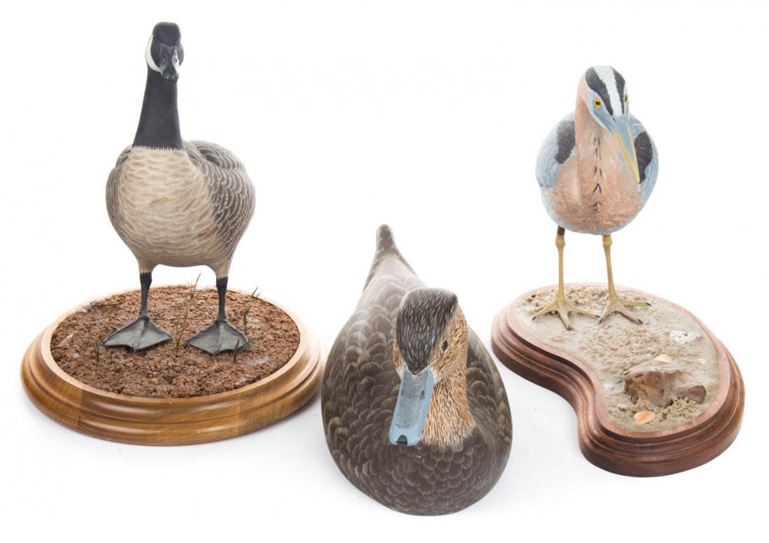 Duck, Goose, Shore Bird Carvings (1 of 7)