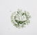 16 Staffordshire green transferware table articles - 4