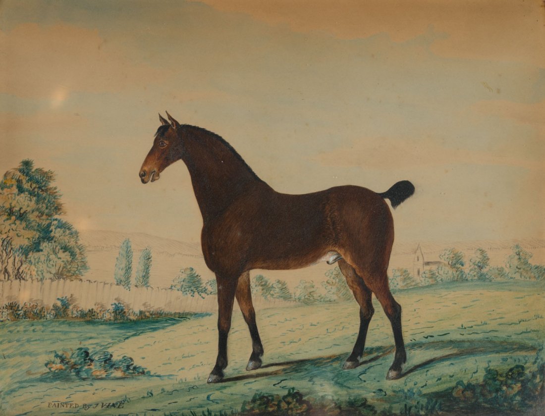 John Vine of Colchester. Equine Portrait, w/c (1 of 4)