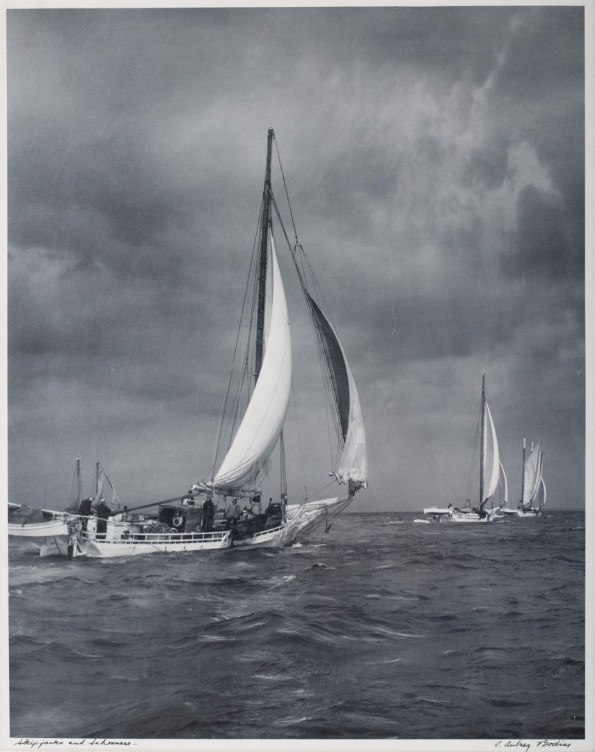 A. Aubrey Bodine. "Skipjacks and Schooners," photo: (American, 1906-1970). Gelatin silver print, signed "A. Aubrey Bodine" lr, 18 x 14 1/4 in., framed