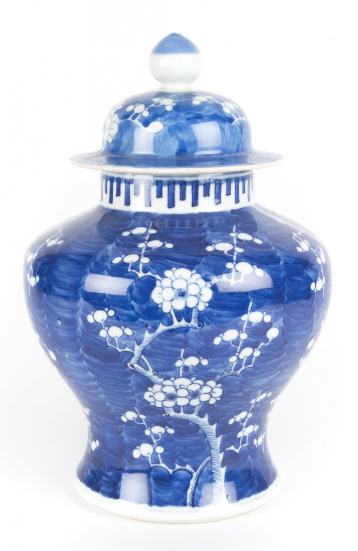 Chinese Export jar in the Hawthorne pattern (1 of 4)