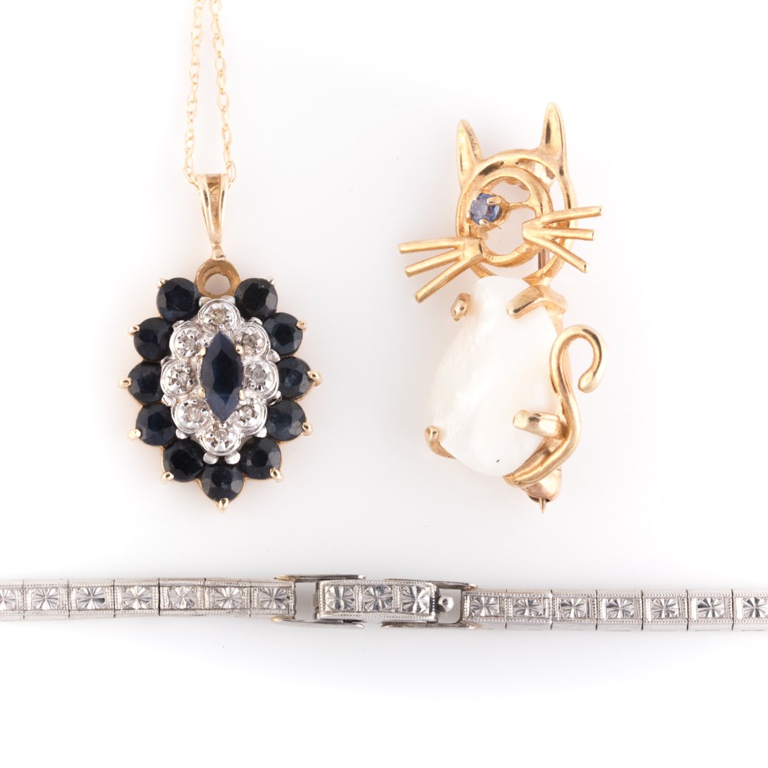 A Selection of Lady's Jewelry: 1) 14K yellow gold necklace with sapphires and diamonds 17 in. L, 2) 14K yellow gold "cat" pin with sapphire eye 1 in. L and 3) platinum watch strap 5.25 in. L, 12 grams tw