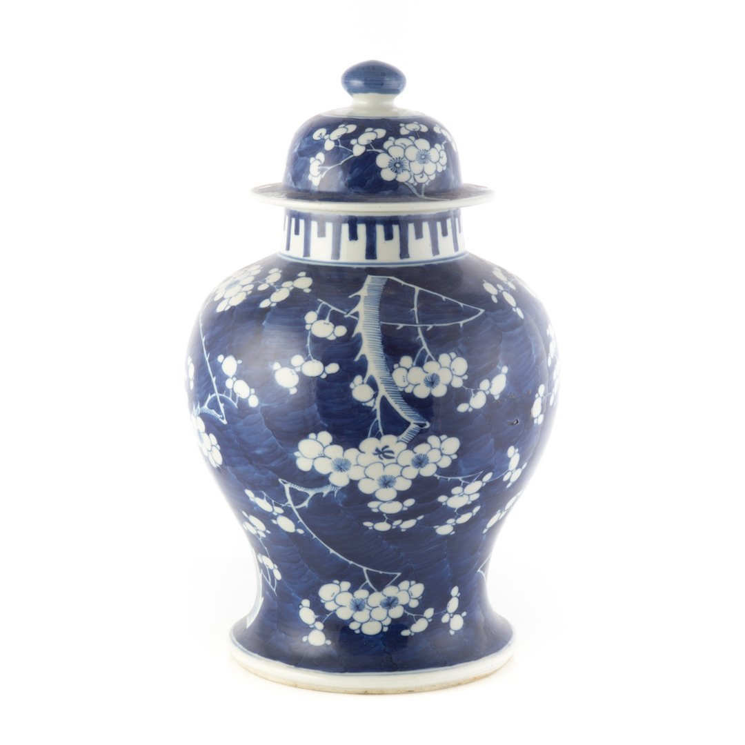 Chinese Export jar in the Hawthorne pattern (1 of 5)