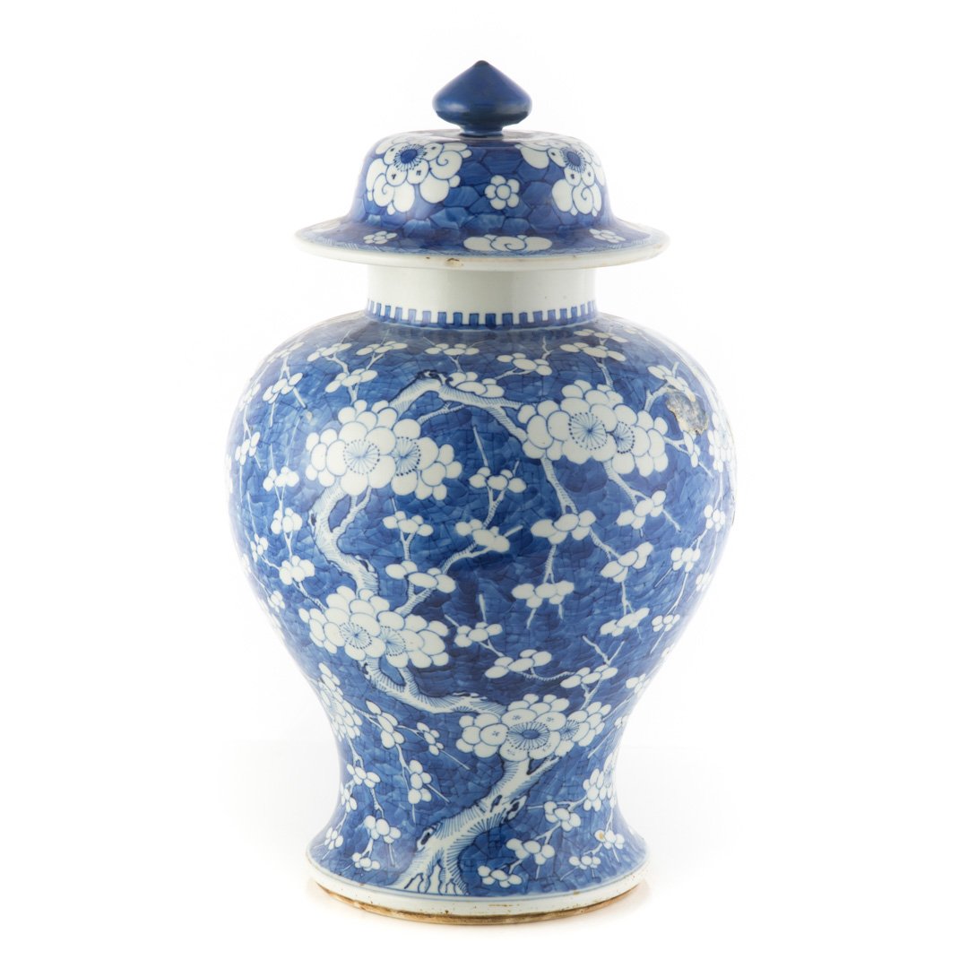 Chinese Export jar in the Hawthorne pattern (1 of 5)