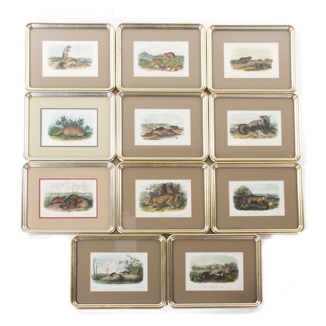 John J. Audubon. 11 Quadruped Octavo lithos. (1 of 8)