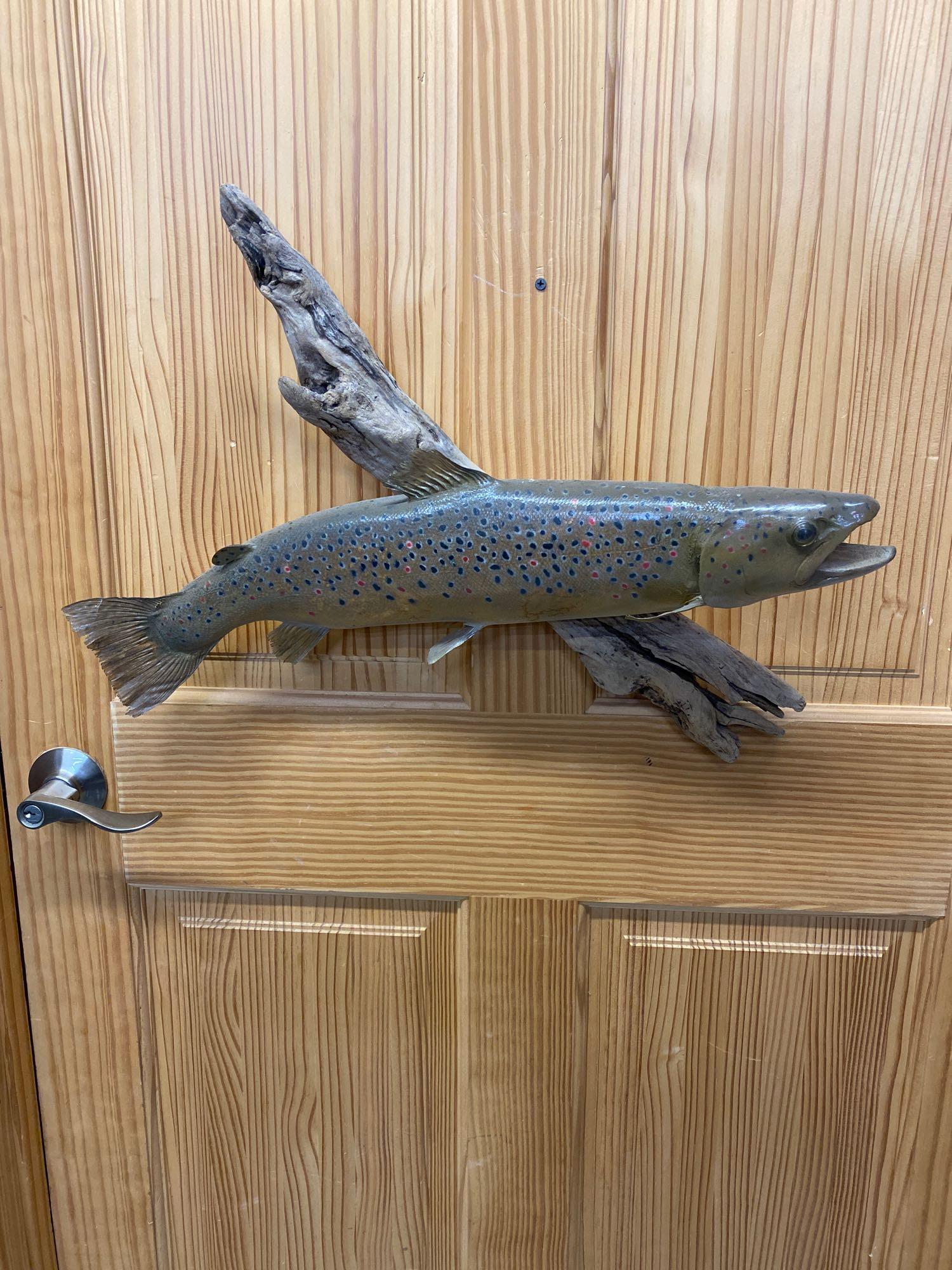 Fish: Trout skin mount.
