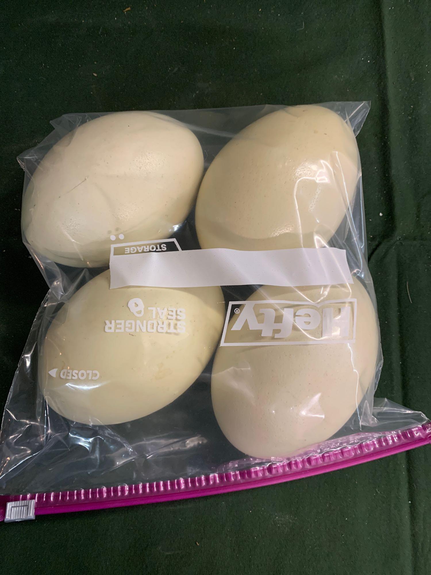 For Rhea eggs: .