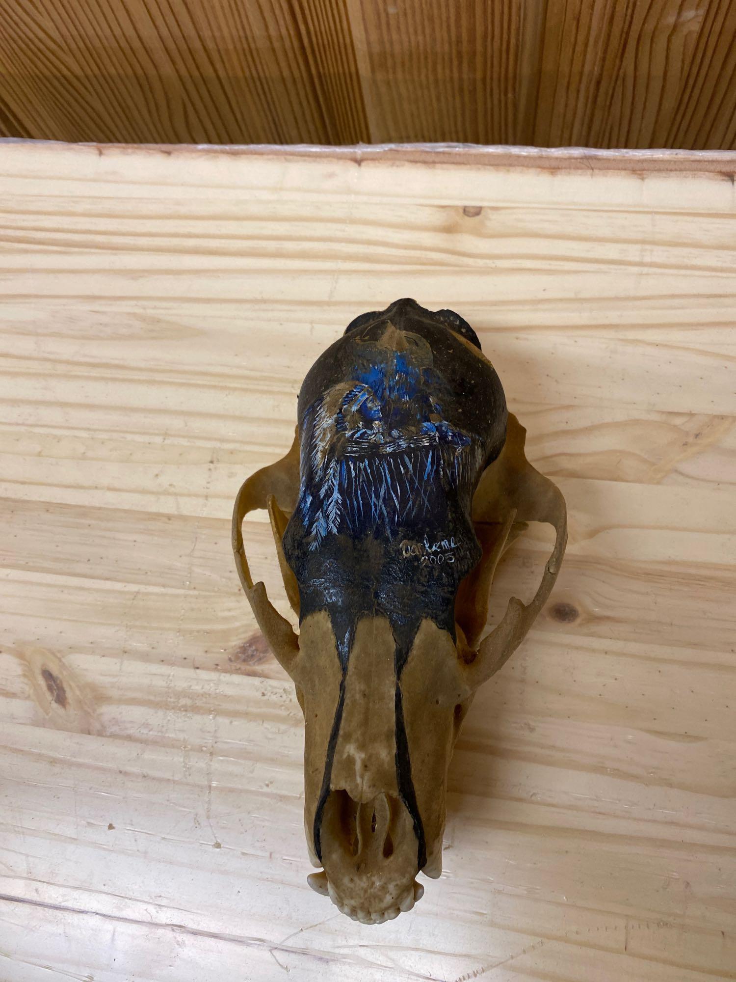 Bear: Hand painted bear skull. Native American, wolf.