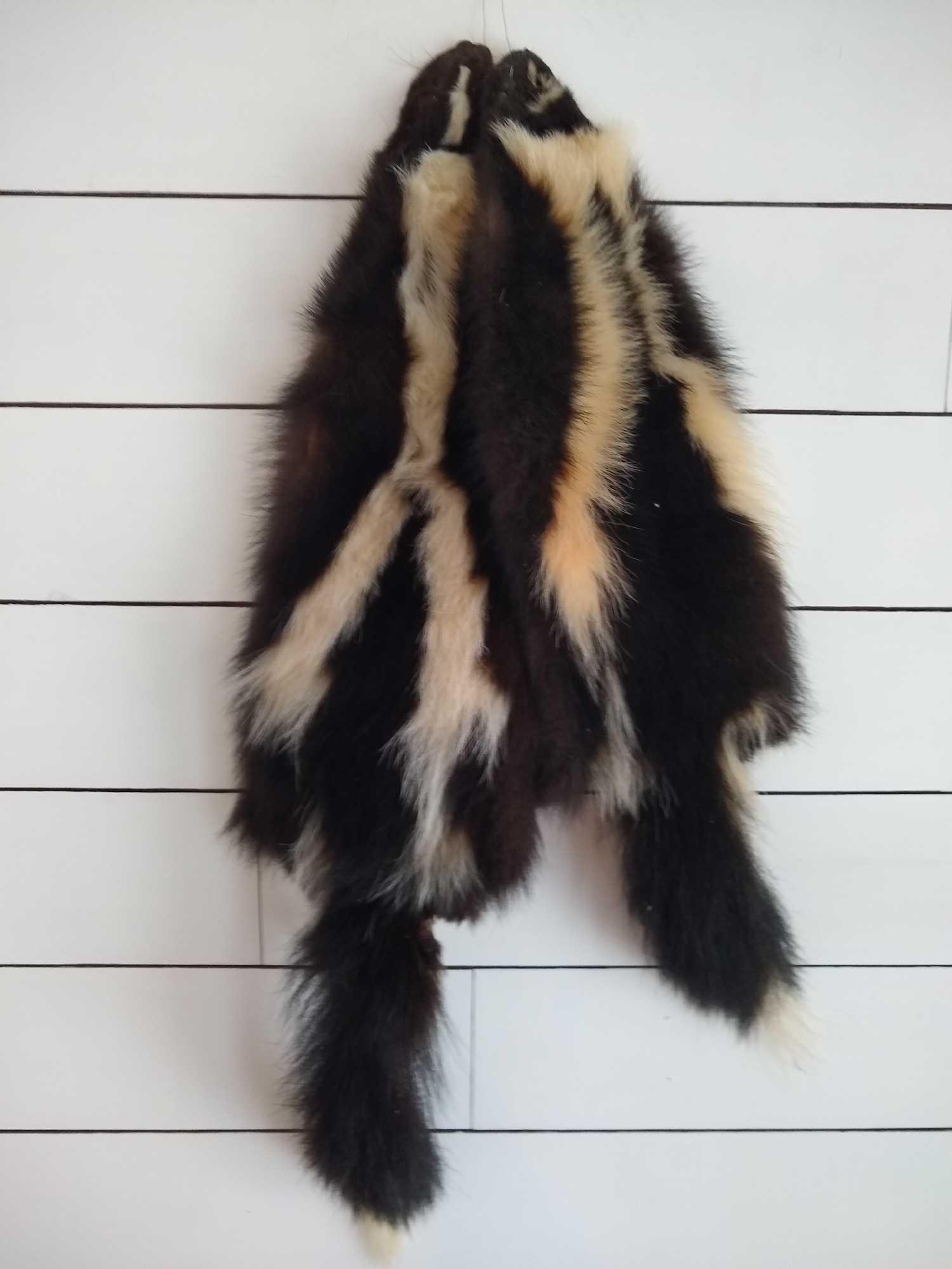 2 Skunk Hides: Craft grade Skunk Hides. Hide these are for the crafters, no smell present. Don't let your wife raise a stink, just buy them!
