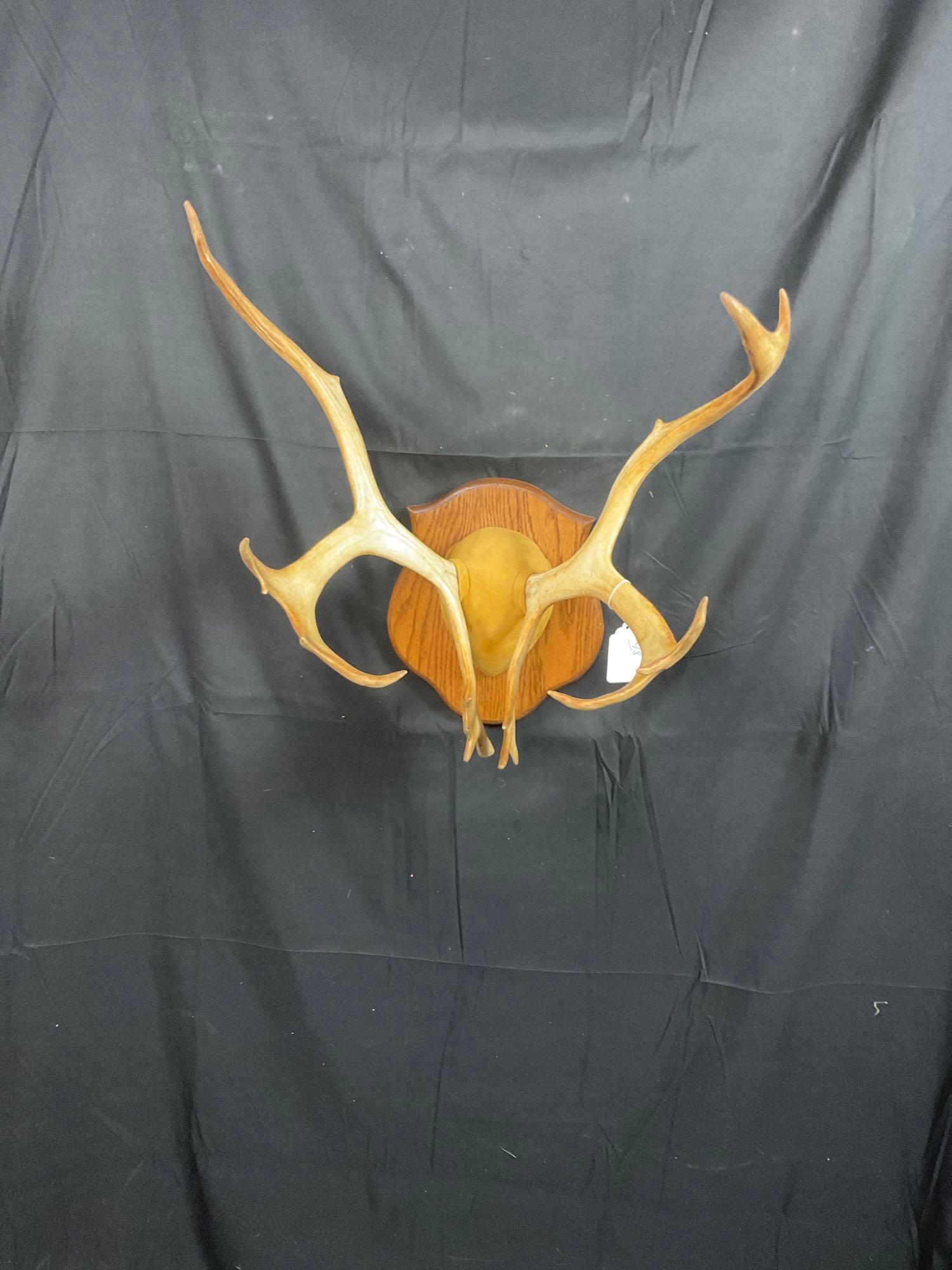 Caribou Mount (1 of 3)