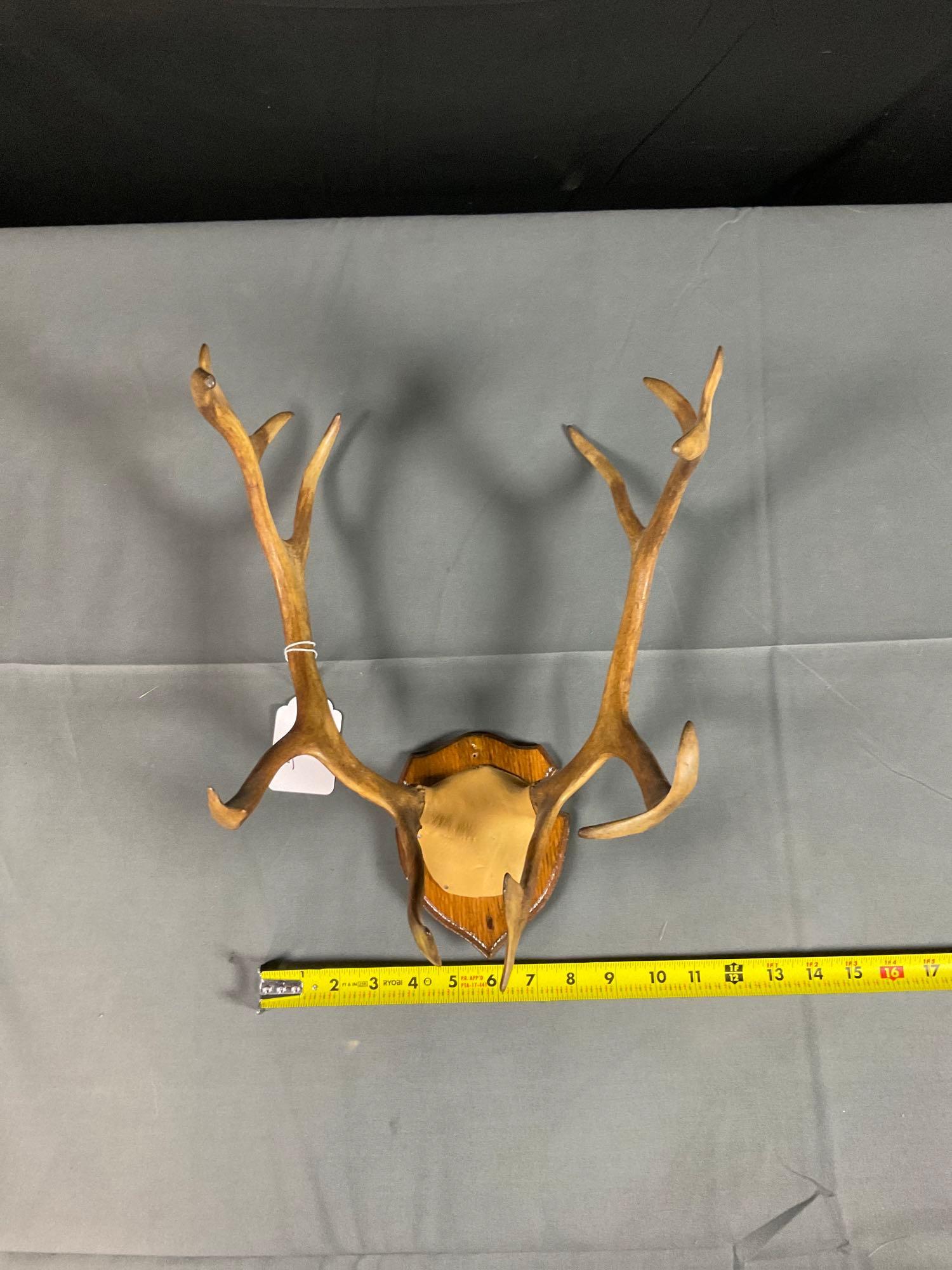 Caribou Rack: Caribou Rack
