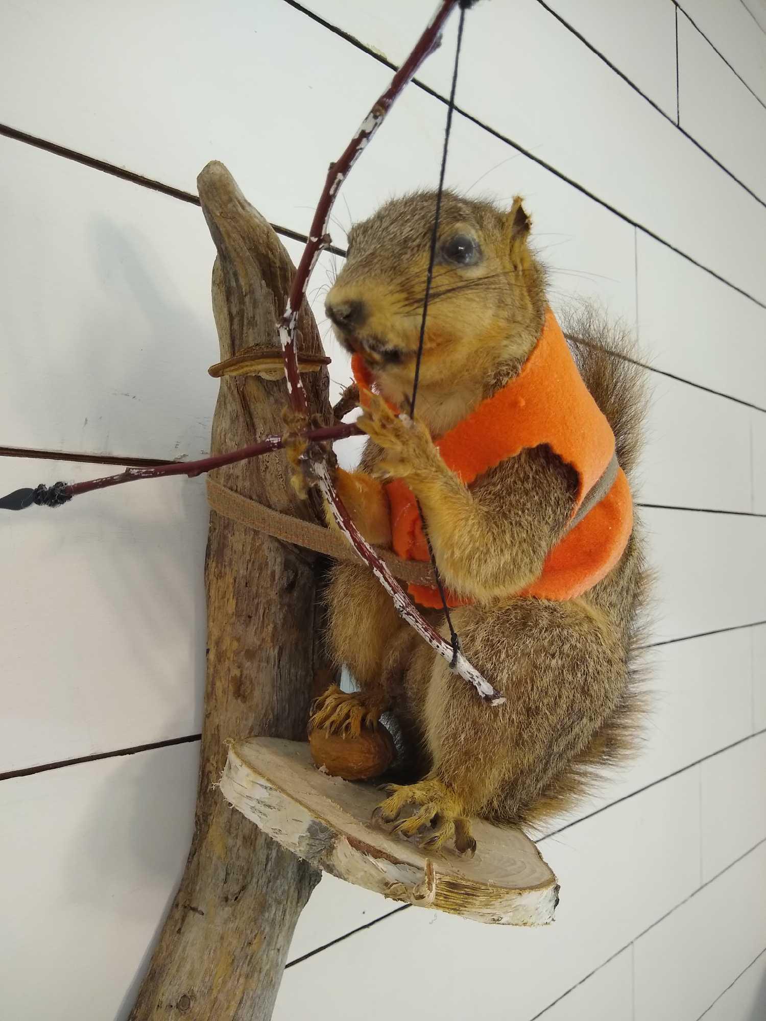 Fox Squirrel (1 of 5)