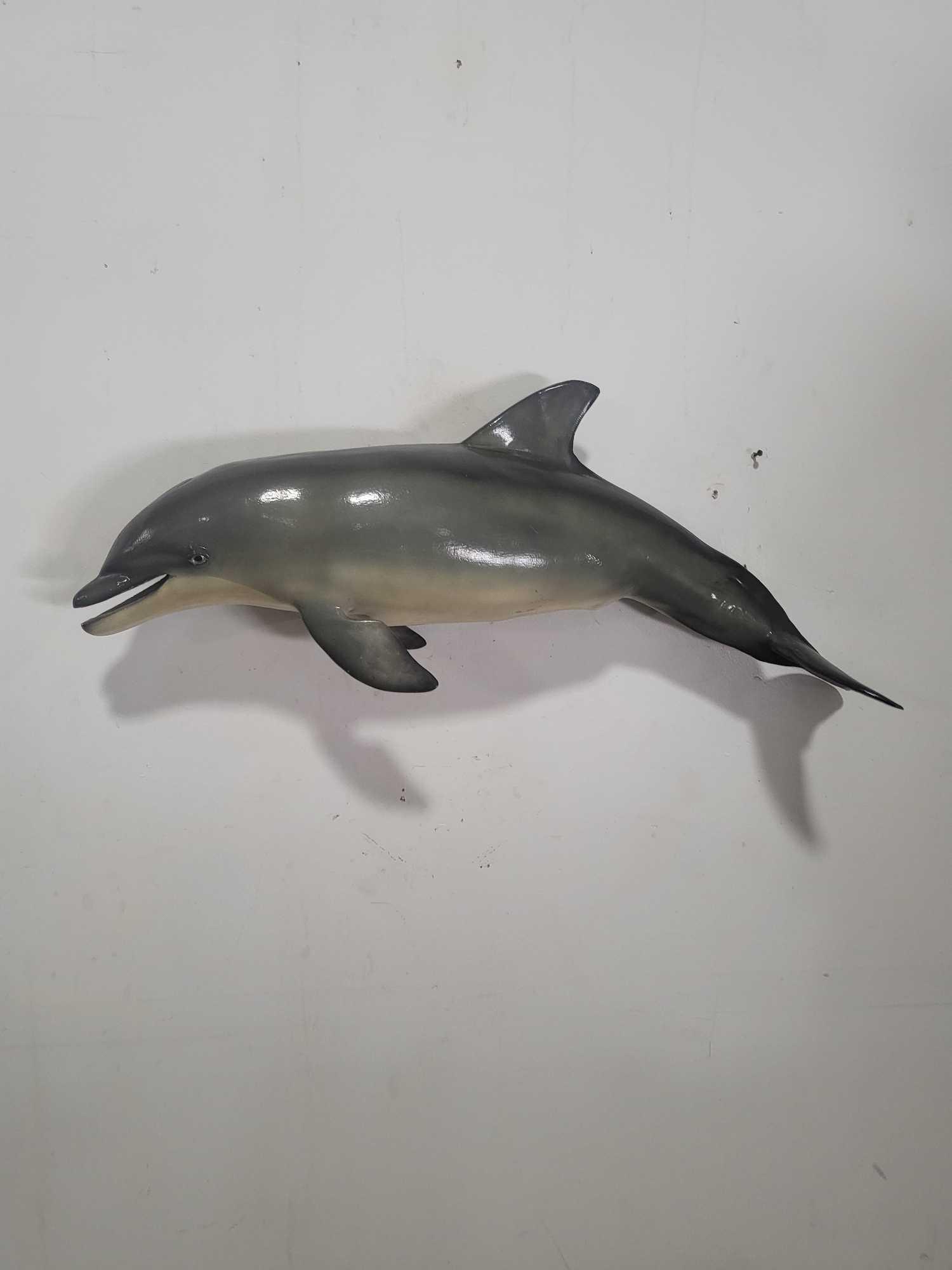 REPLICA DOLPHIN TAXIDERMY MOUNT: HIGH END REPLICA TAXIDERMY FISH MOUNT. If you are a collector into nautical items, forget about looking for Megalodon teeth, Titanic artifacts, shipwreck items, ship models, Jaws shark movie memorabil