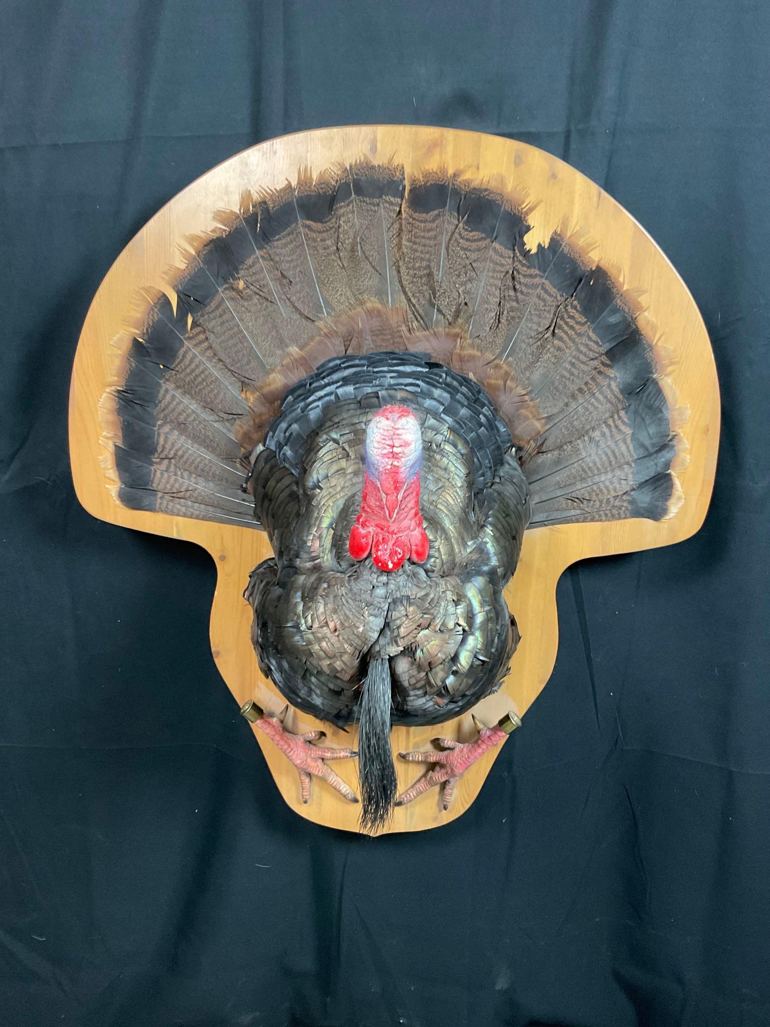 Turkey Mount (1 of 3)