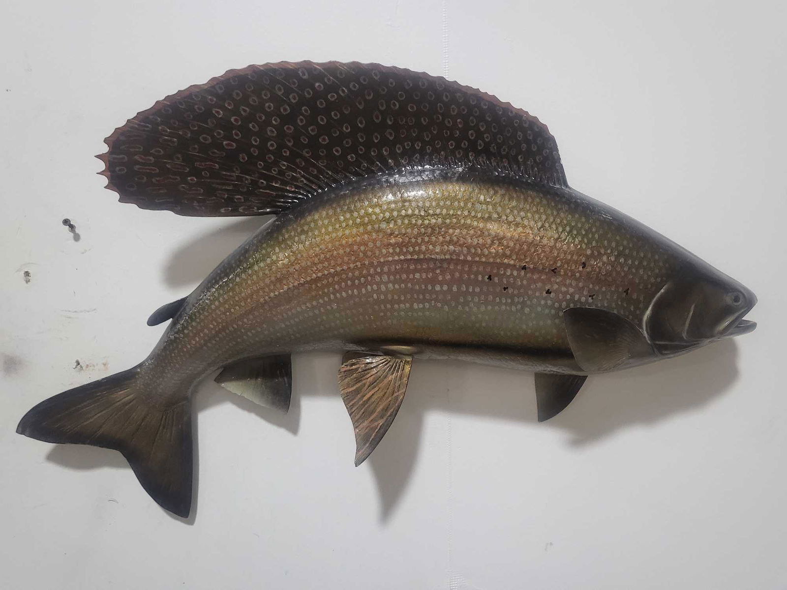 GRAYLING HIGH END REPLICA TAXIDERMY FISH MOUNT (1 of 4)