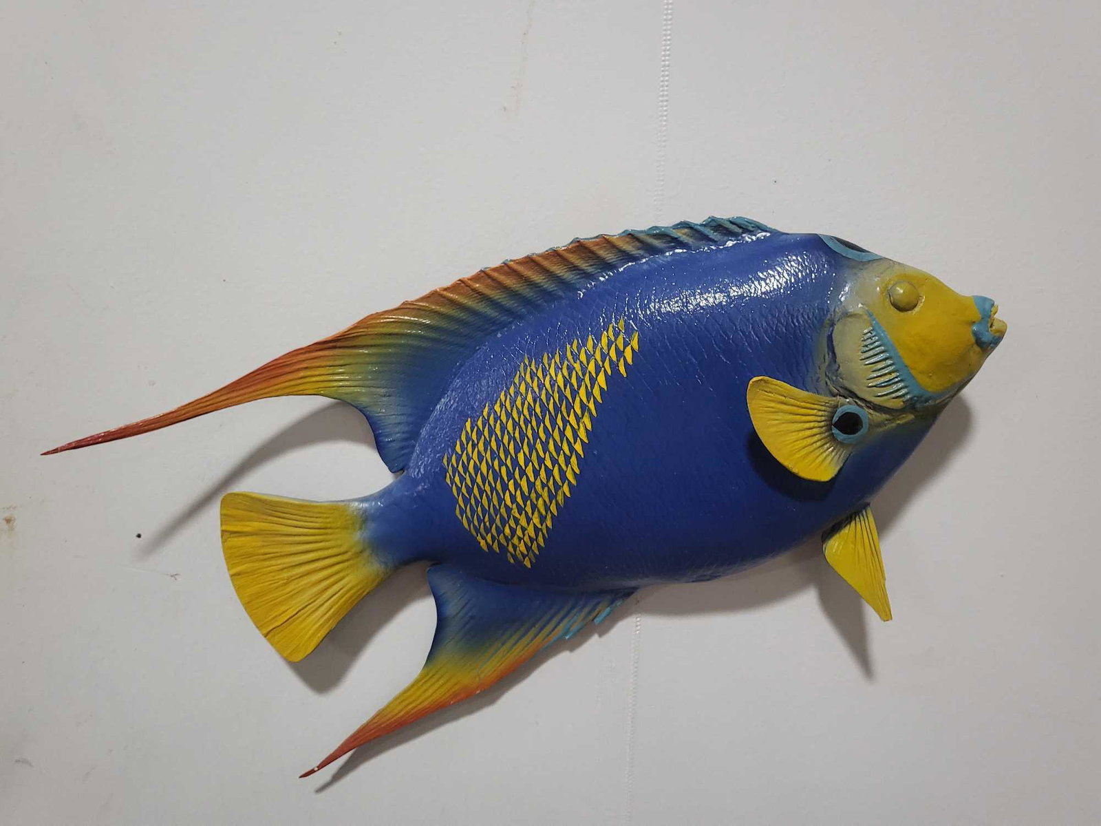 ANGELFISH HIGH END REPLICA TAXIDERMY FISH MOUNT: HIGH END REPLICA ANGELFISH TAXIDERMY FISH MOUNT. If you are a collector into nautical items, forget about looking for Megalodon teeth, Titanic artifacts, shipwreck items, ship models, Jaws shark movie