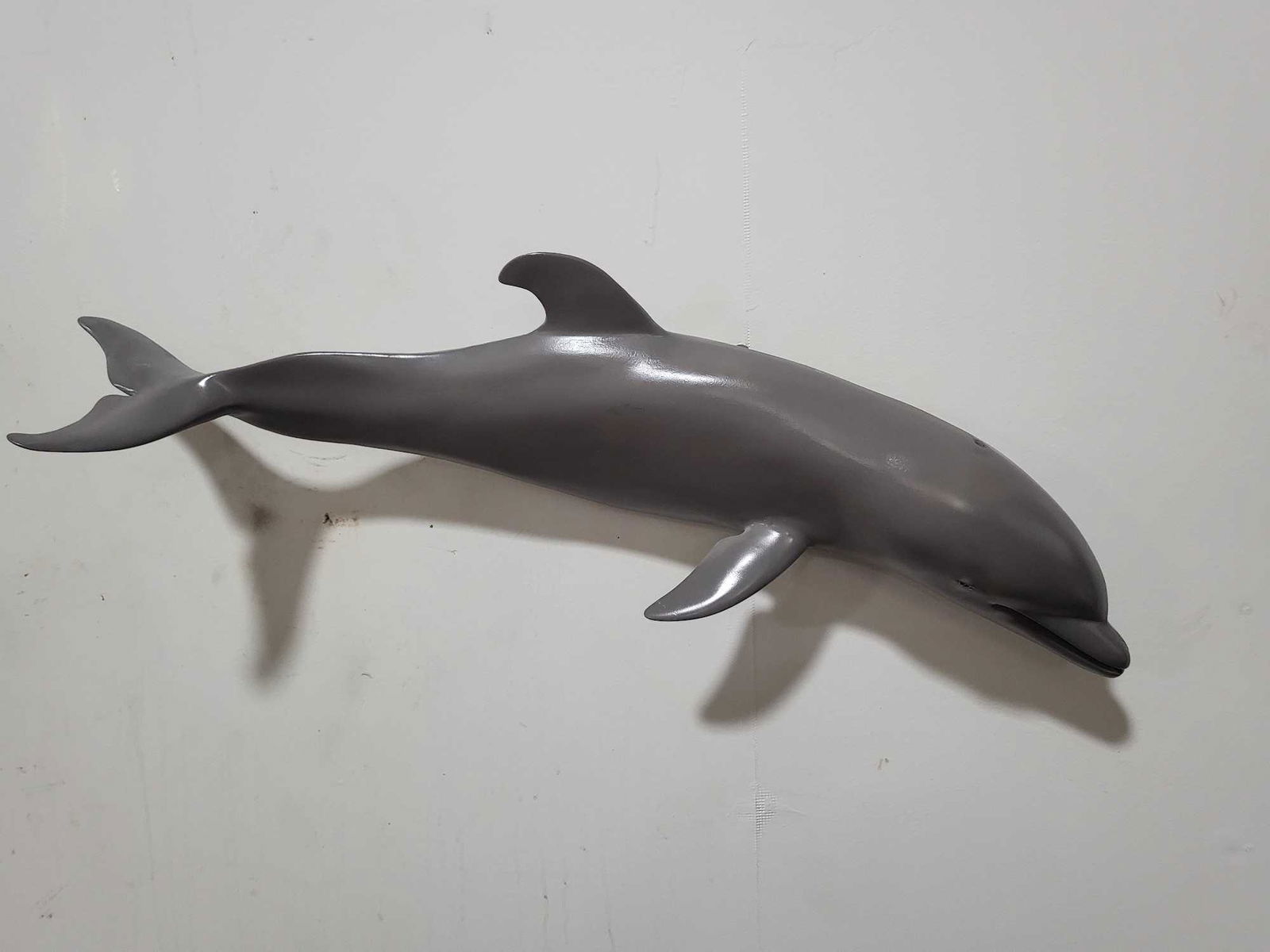 DOLPHIN HIGH END REPLICA TAXIDERMY FISH MOUNT: HIGH END DOLPHIN REPLICA TAXIDERMY FISH MOUNT. If you are a collector into nautical items, forget about looking for Megalodon teeth, Titanic artifacts, shipwreck items, ship models, Jaws shark movie m