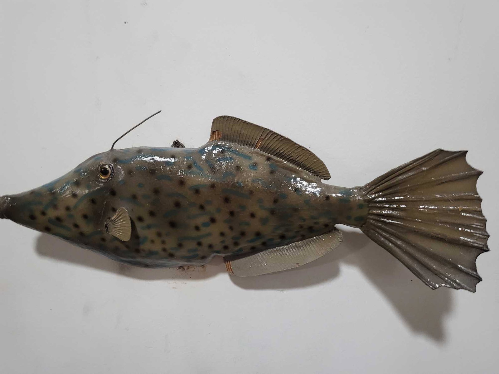 HIGH END REPLICA TAXIDERMY FISH MOUNT: HIGH END REPLICA TAXIDERMY FISH MOUNT. If you are a collector into nautical items, forget about looking for Megalodon teeth, Titanic artifacts, shipwreck items, ship models, Jaws shark movie memorabil