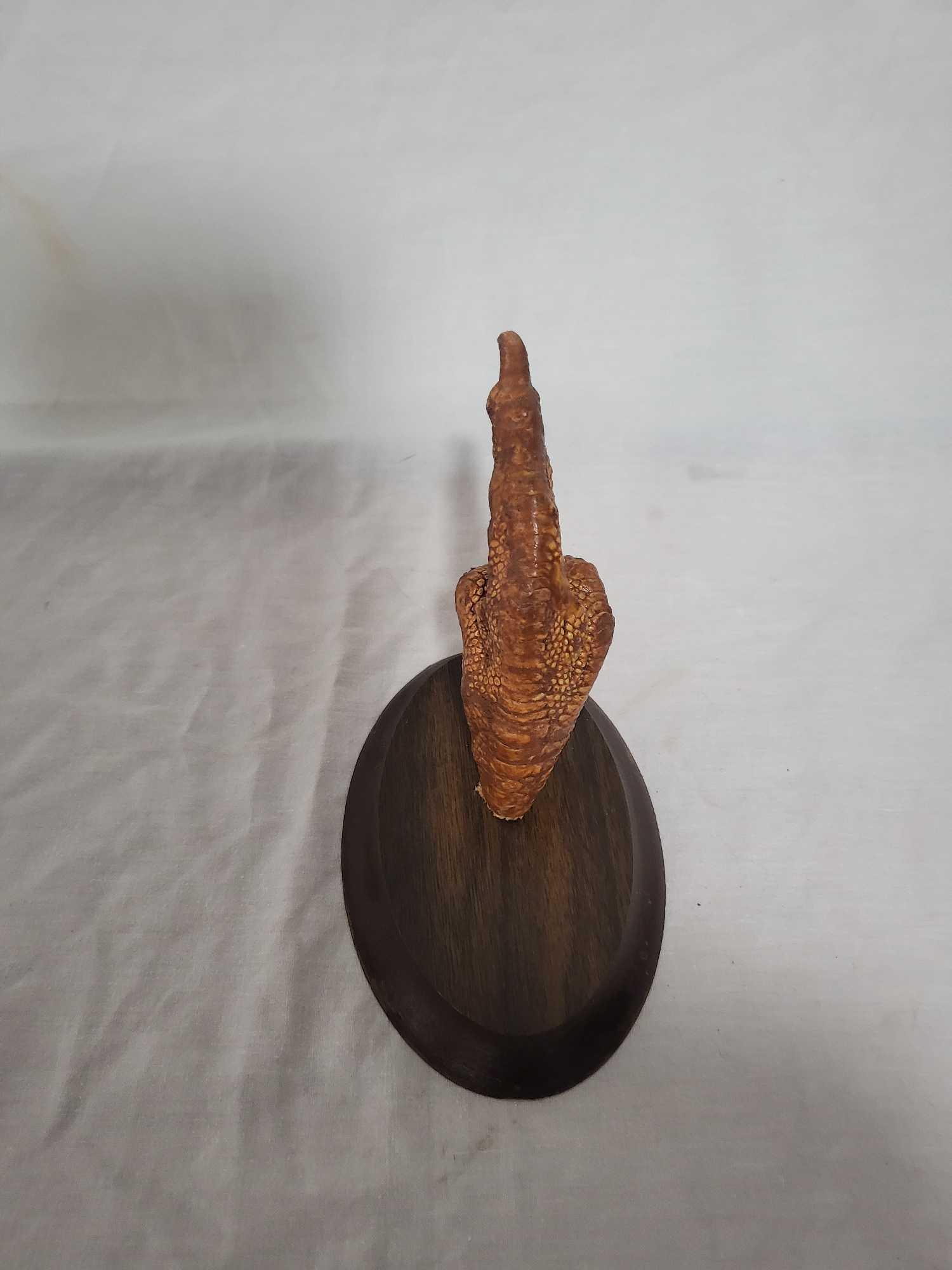 TURKEY FOOT TAXIDERMY MOUNT (1 of 5)