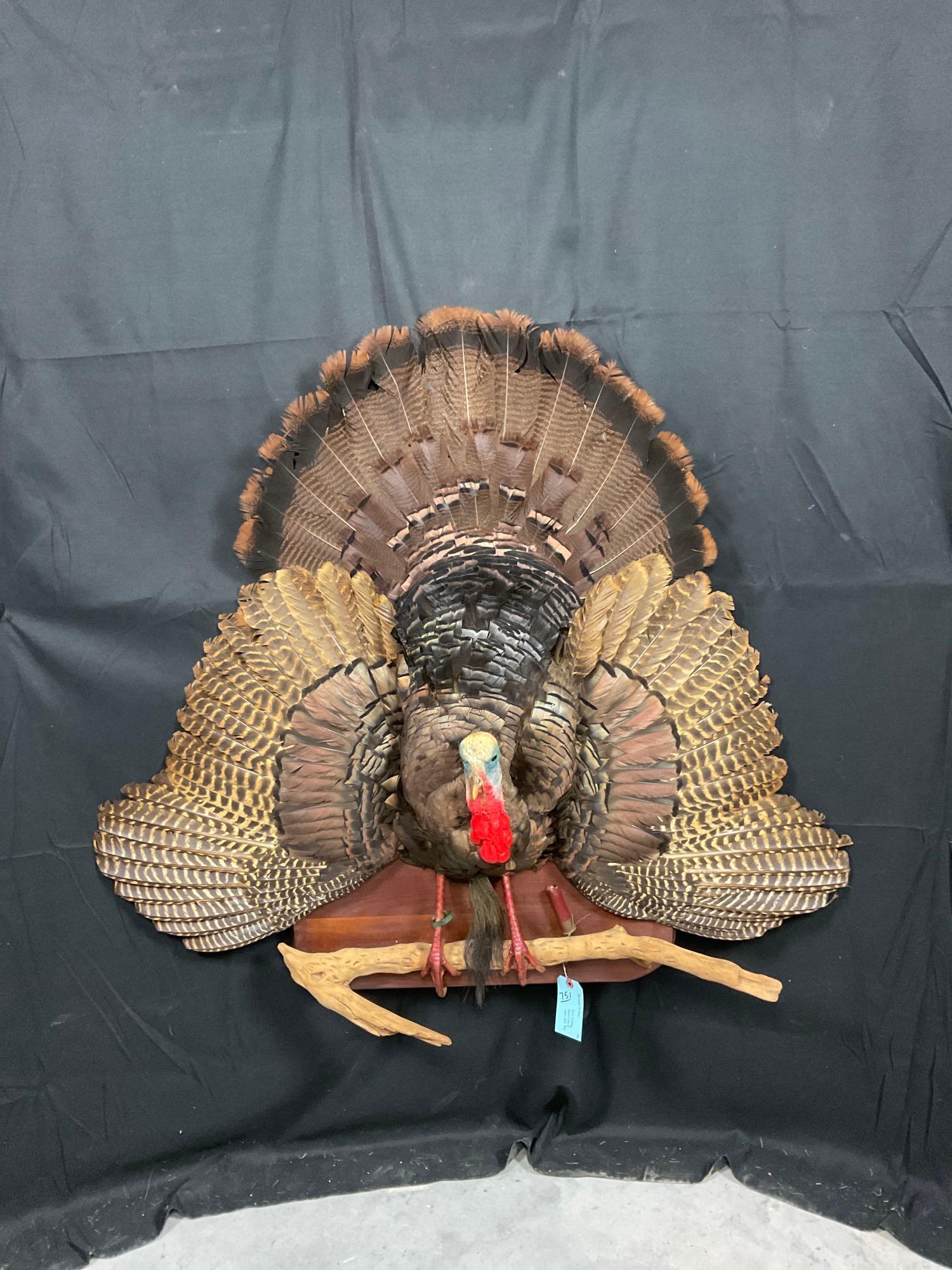 Turkey Mount (1 of 4)
