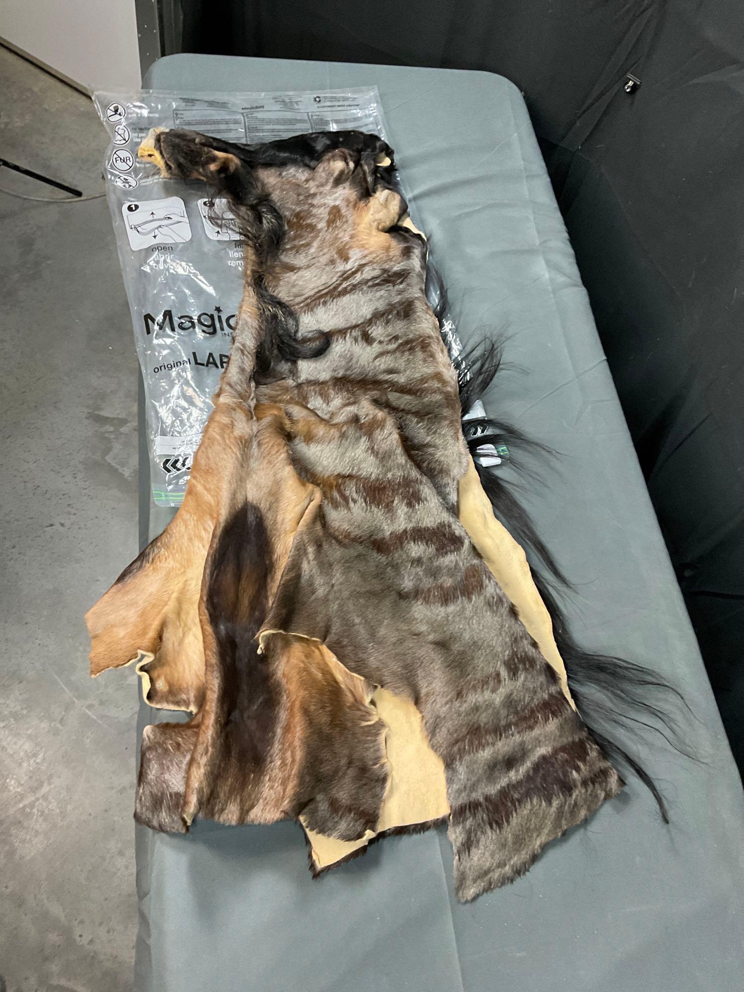 Wildebeest Hide (1 of 5)