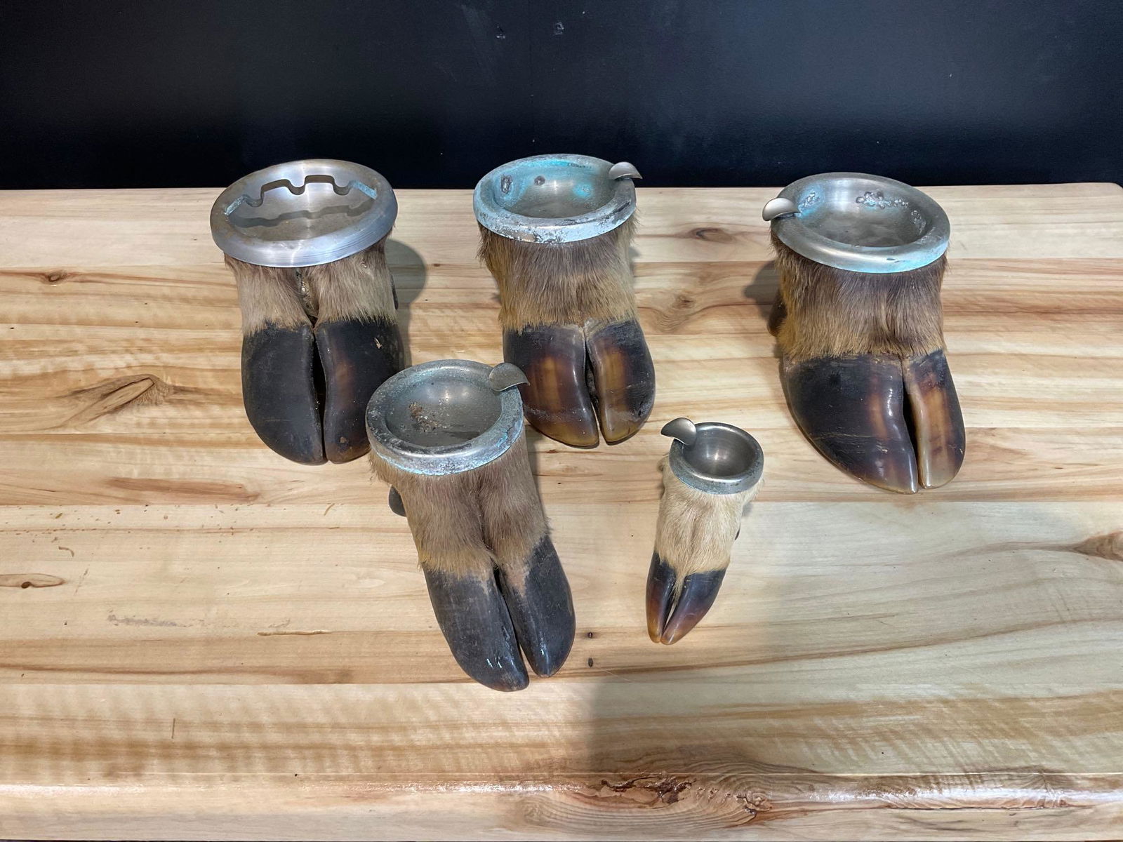 5 Assorted Hoof Ash Trays (1 of 3)