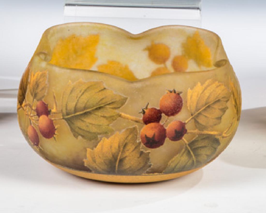 Schale mit Hagebutten (1 of 1)