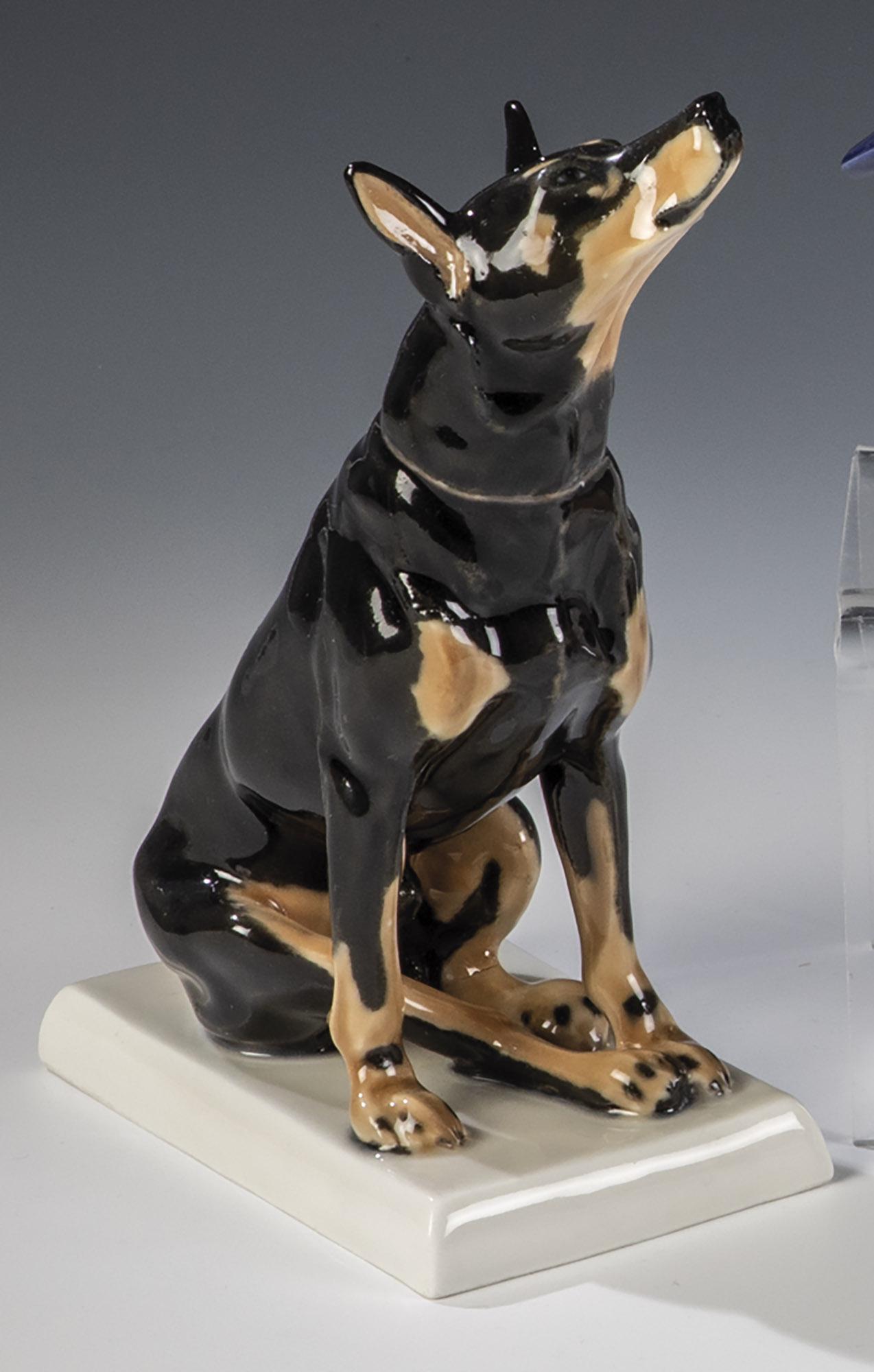 Dobermann: Dobermann Paul Walther (Entwurf) 1912, Meissen (AusfÃ¼hrung), um 1935 Auf flachem Rechtecksockel. Staffiert in naturalistischer Unterglasurbemalung. Rechtes Ohr rest.. Auf dem Sockel bez.: eingeritz