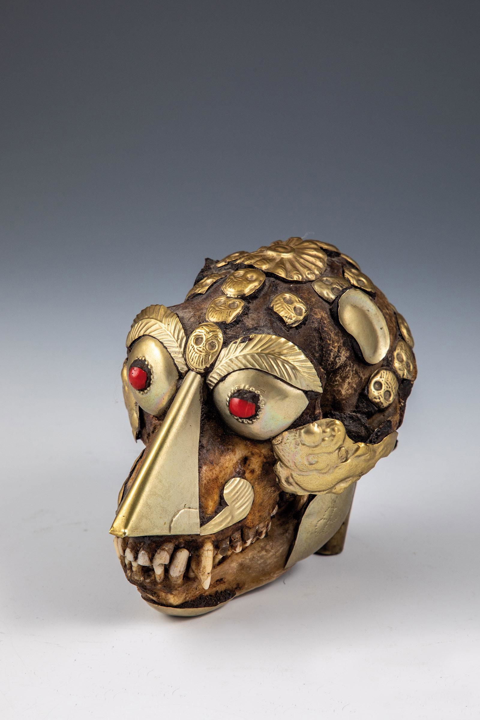 Kapala Affenschädel (1 of 1)