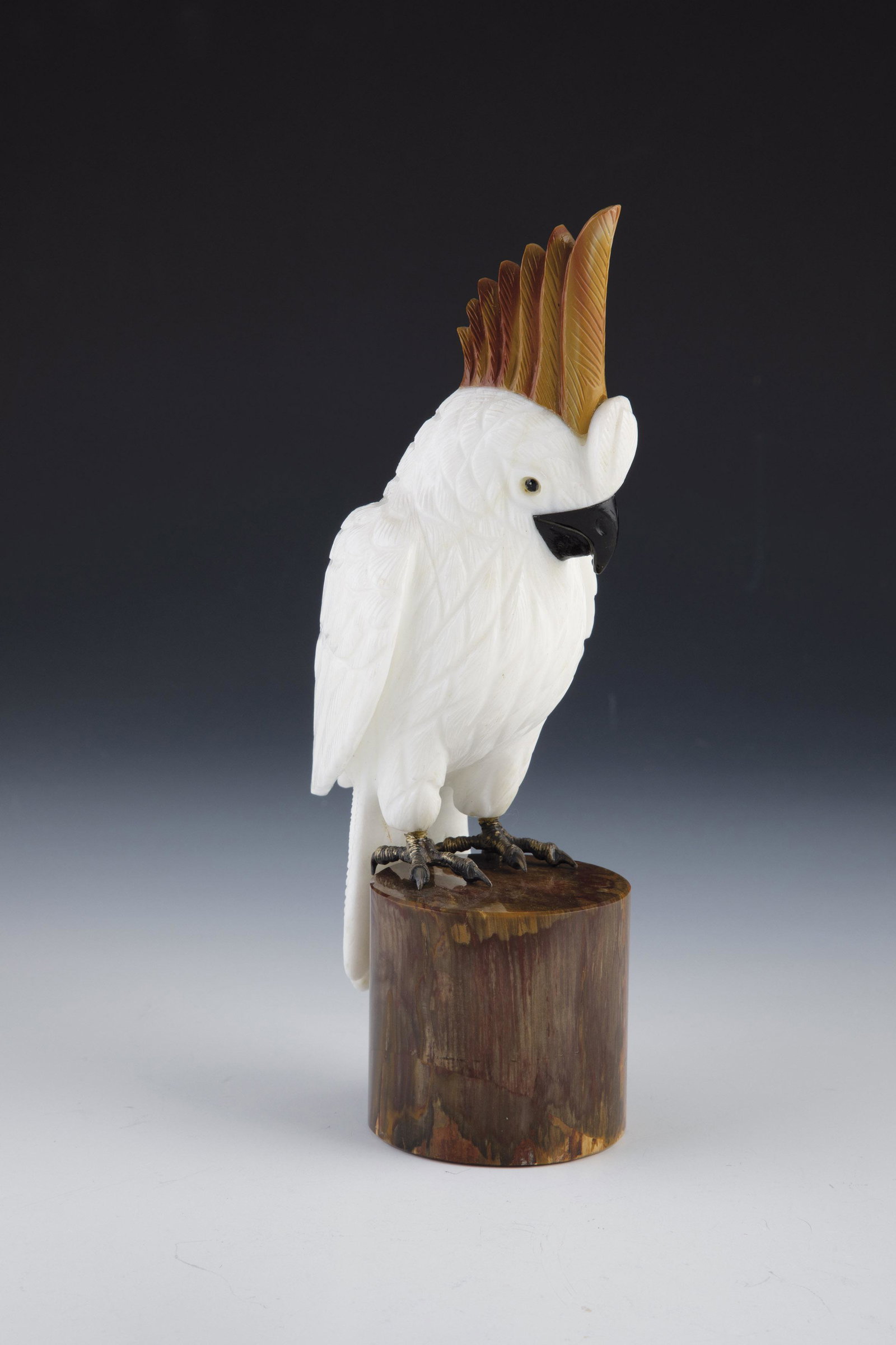 Dolomite cockatoo on petrified wood base (1 of 1)