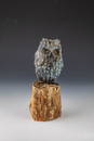 Labradorite eagle owl on tree trunk