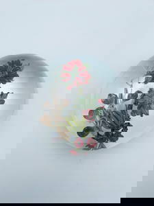 Paperweight