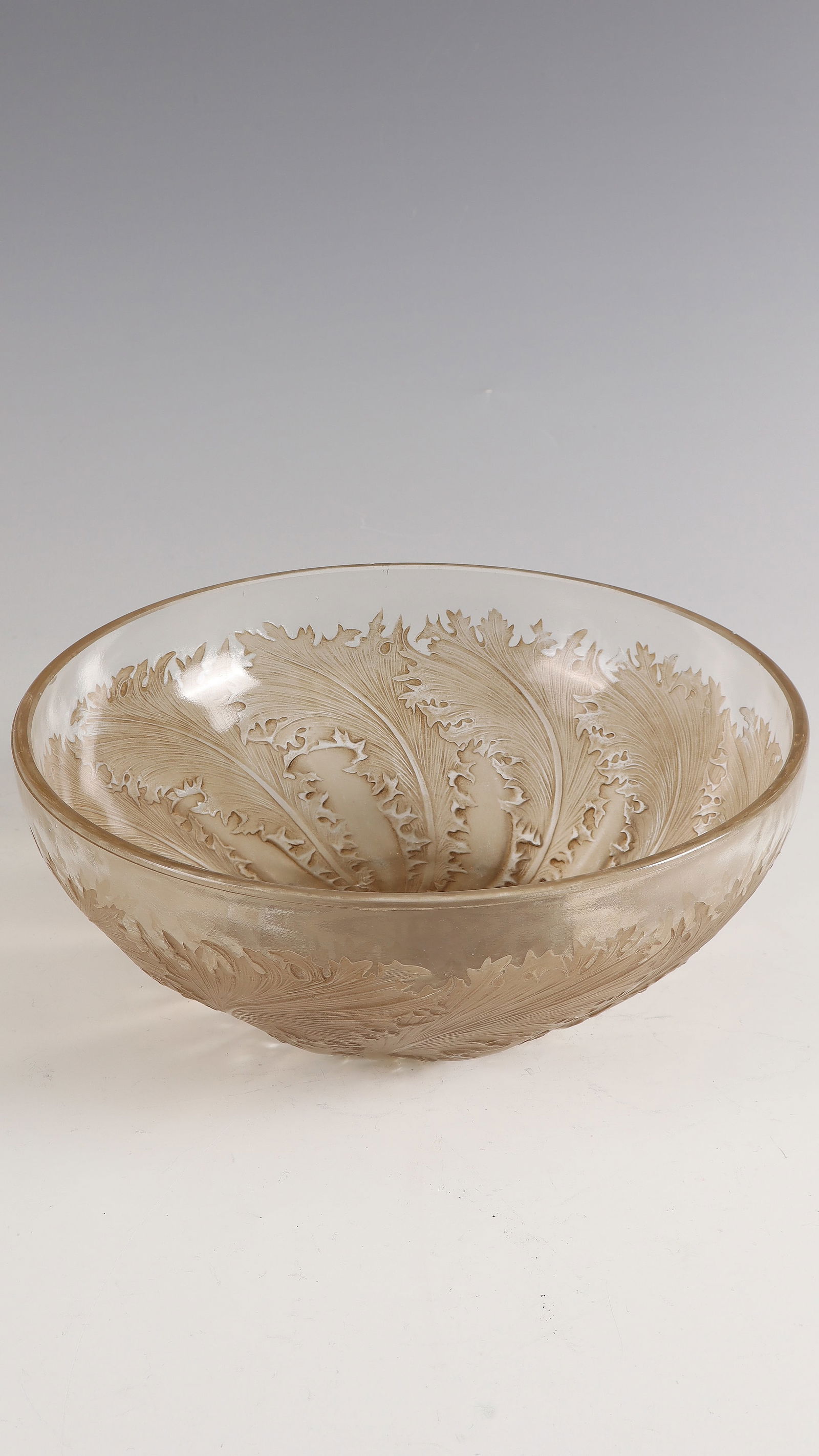 Bowl ''Chicory'': Bowl ''Chicory'' René Lalique, VDA (pour Verrerie d'Alsace), 1921 - 1923 Colourless glass, moulded, brown patina. Ref.: VDA FRANCE (compression molded). H. 9 cm; D. 24 cm Lit.: G. Cappa, Le Genié