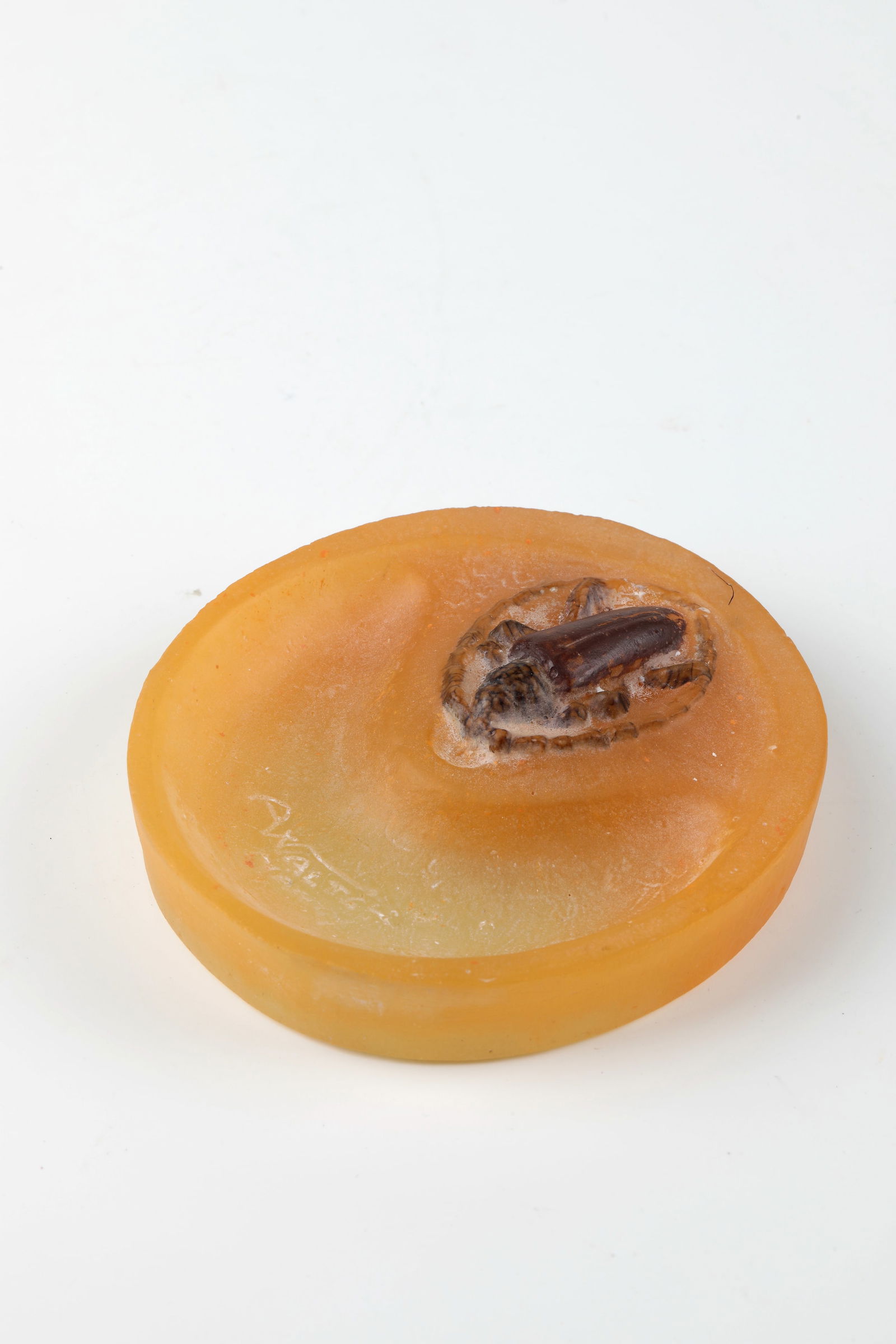 Bowl with beetle: Bowl with beetle Henri Bergé (design), Almaric Walter, Nancy, c. 1920 Pâte de verre in colourless, orange and brown, moulded. A sculptural beetle on an oval base. Inner wall inscribed: AWALTER