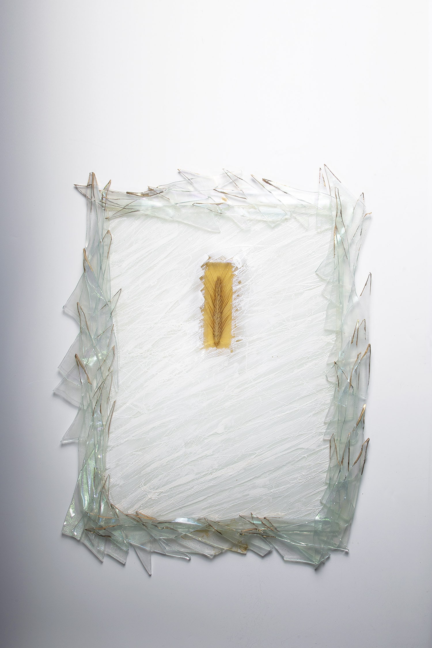 2 Glass Pictures: 2 glass pictures FENESTRA ATELIER CV, 1990 Flat glass, painted opaque white or opaque black. Border made of lustrated glass shards, partly contoured with gold. Ear of corn or dandelion melted in