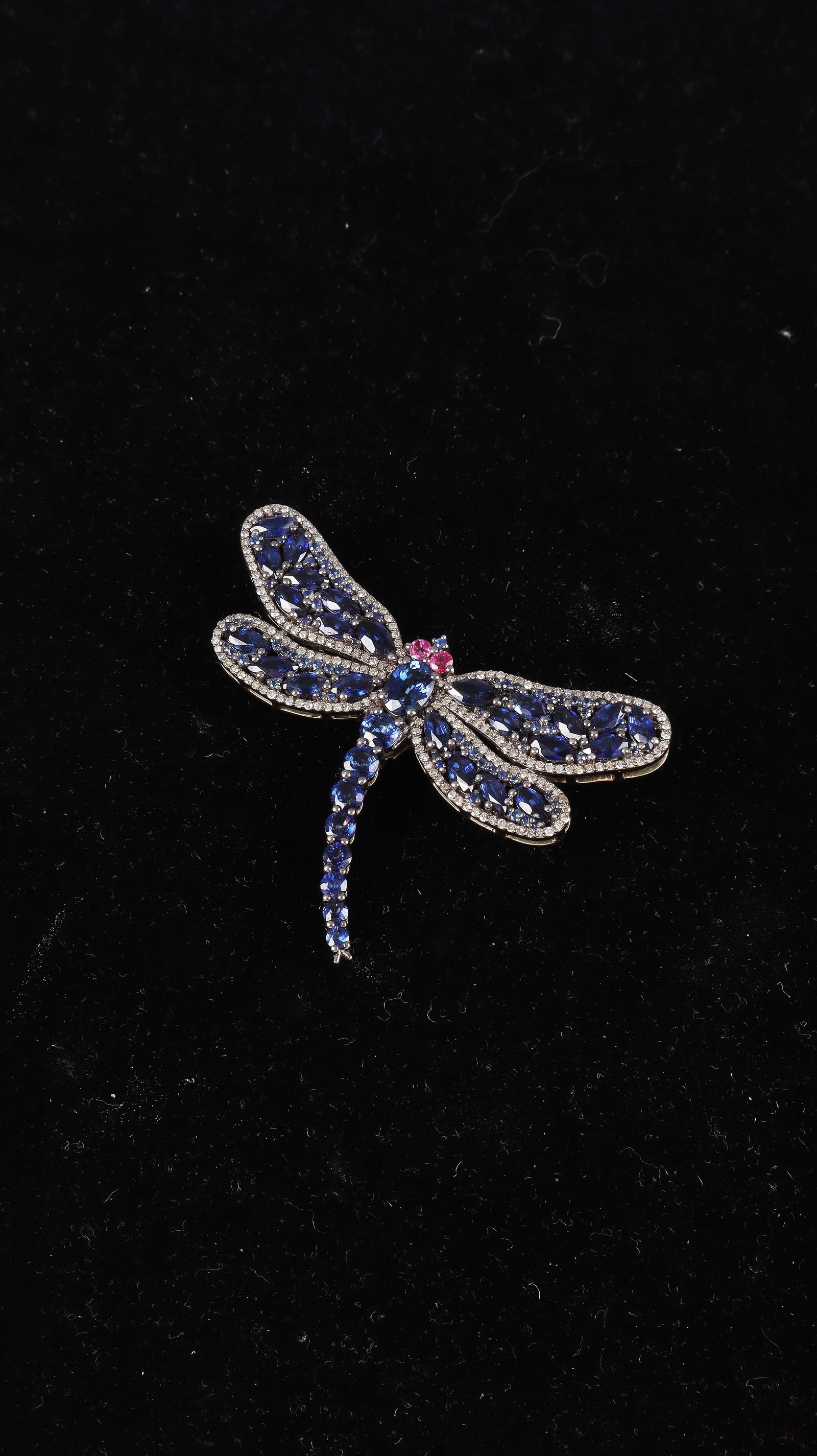 Brooch pendant in the shape of a dragonfly: Brooch pendant in the shape of a dragonfly Silver base plate with yellow gold undercasting. Sculpturally worked dragonfly, wings and body set with oval and round faceted sapphires, zus. approx. 10