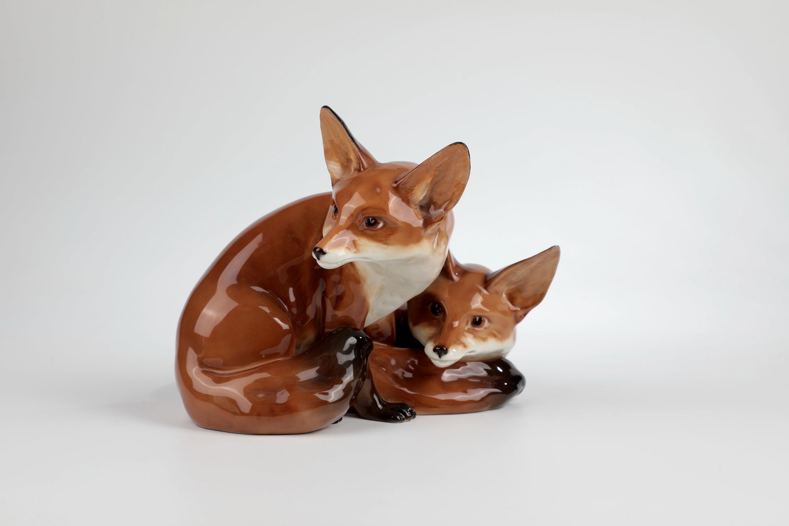 Two foxes (1 of 1)