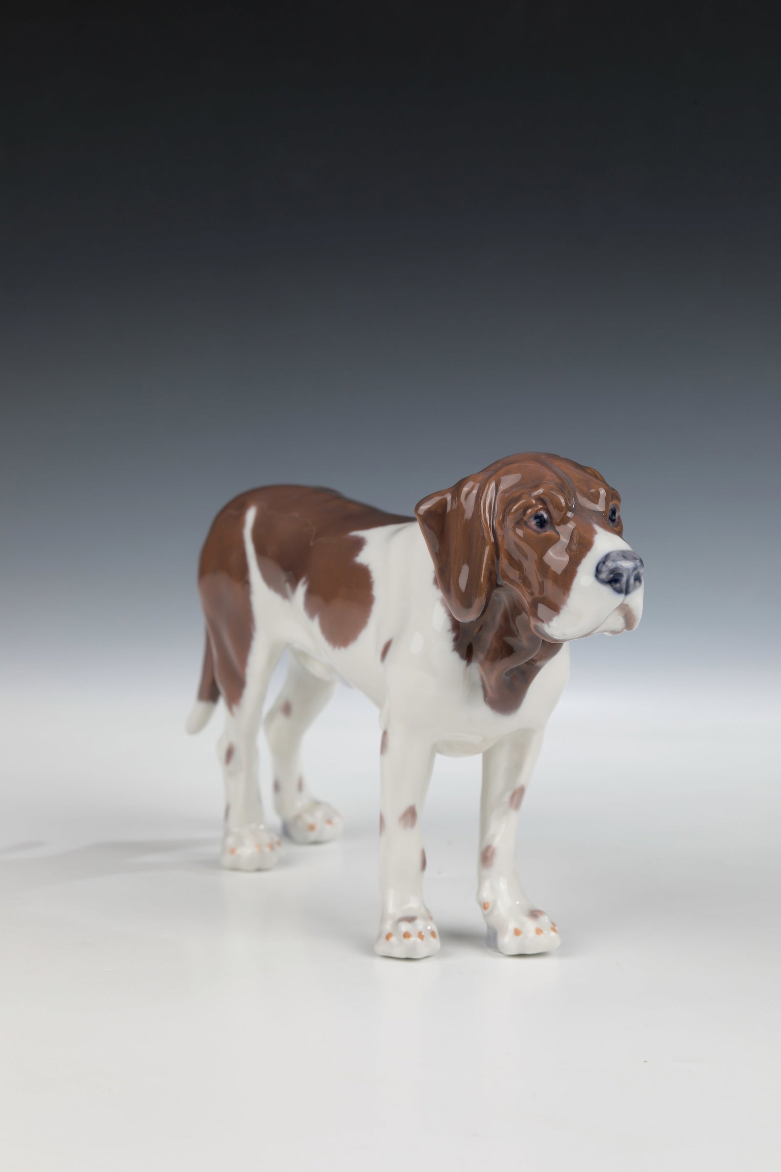 ''Danish Bird Dog'' (Old Danish Pointing Dog) (1 of 1)
