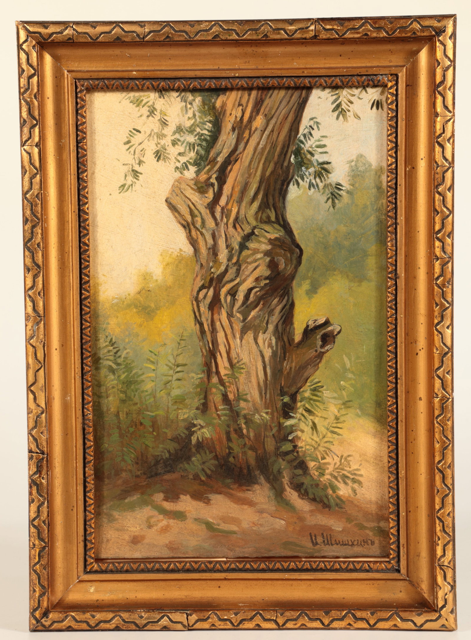 Ivan Ivanovitch Shishkin (added): Ivan Ivanovitch Shishkin (engraved) 1832 Jelabuga - 1898 Saint Petersburg Large tree trunk inside the forest, oil on cardboard, signed in Cyrillic at the bottom right. Ivan I. Shishkin is one of the m