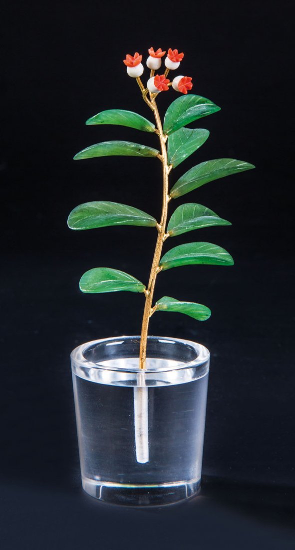 Daphne-Zweig (1 of 1)