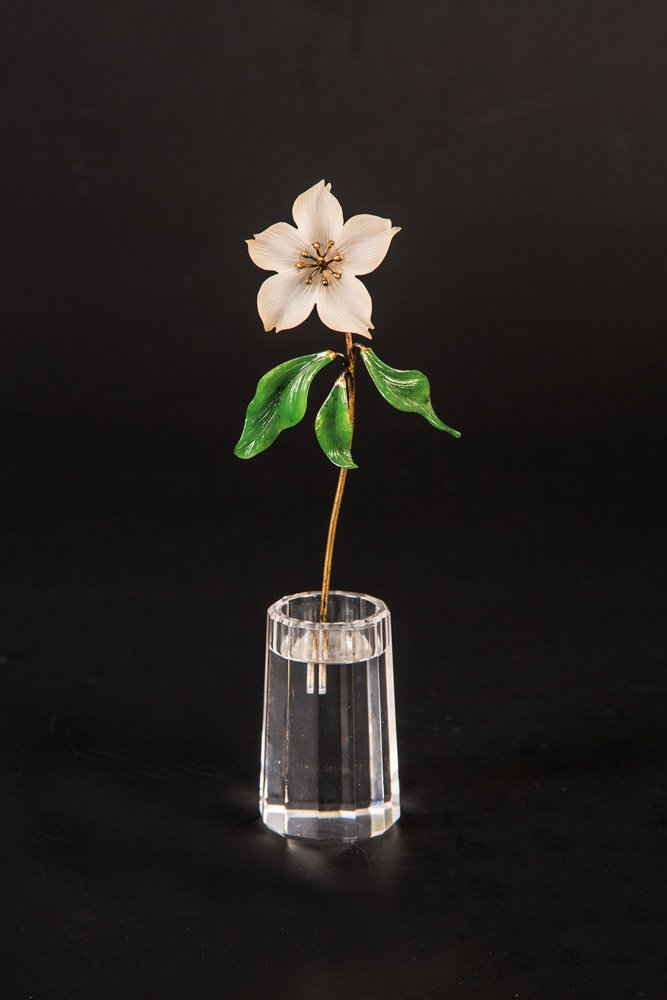 Clematis aus Bergkristall (1 of 1)