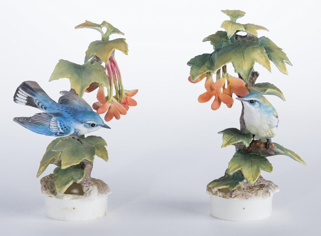 Pair Dorothy Doughty Cerulean Warblers (1 of 8)