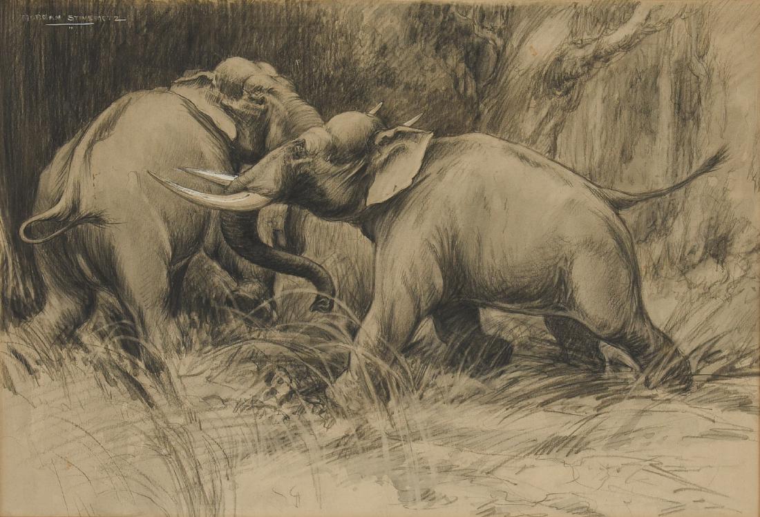 Morgan Stinemetz drawing, elephants (1 of 11)