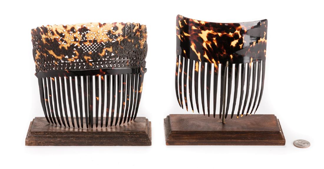 2 Victorian Tortoiseshell Hair Combs (1 of 8)