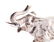 5 Silver Animals and Birds - 15