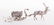 Sterling Reindeer Sleigh Salt Cellar - 4