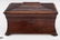 Large Regency Sarcophagus Tea Caddy - 2