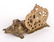 French Bronze Desk Set, 4 pcs - 6