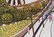 M. Korsak Painting - Cityscape - 8